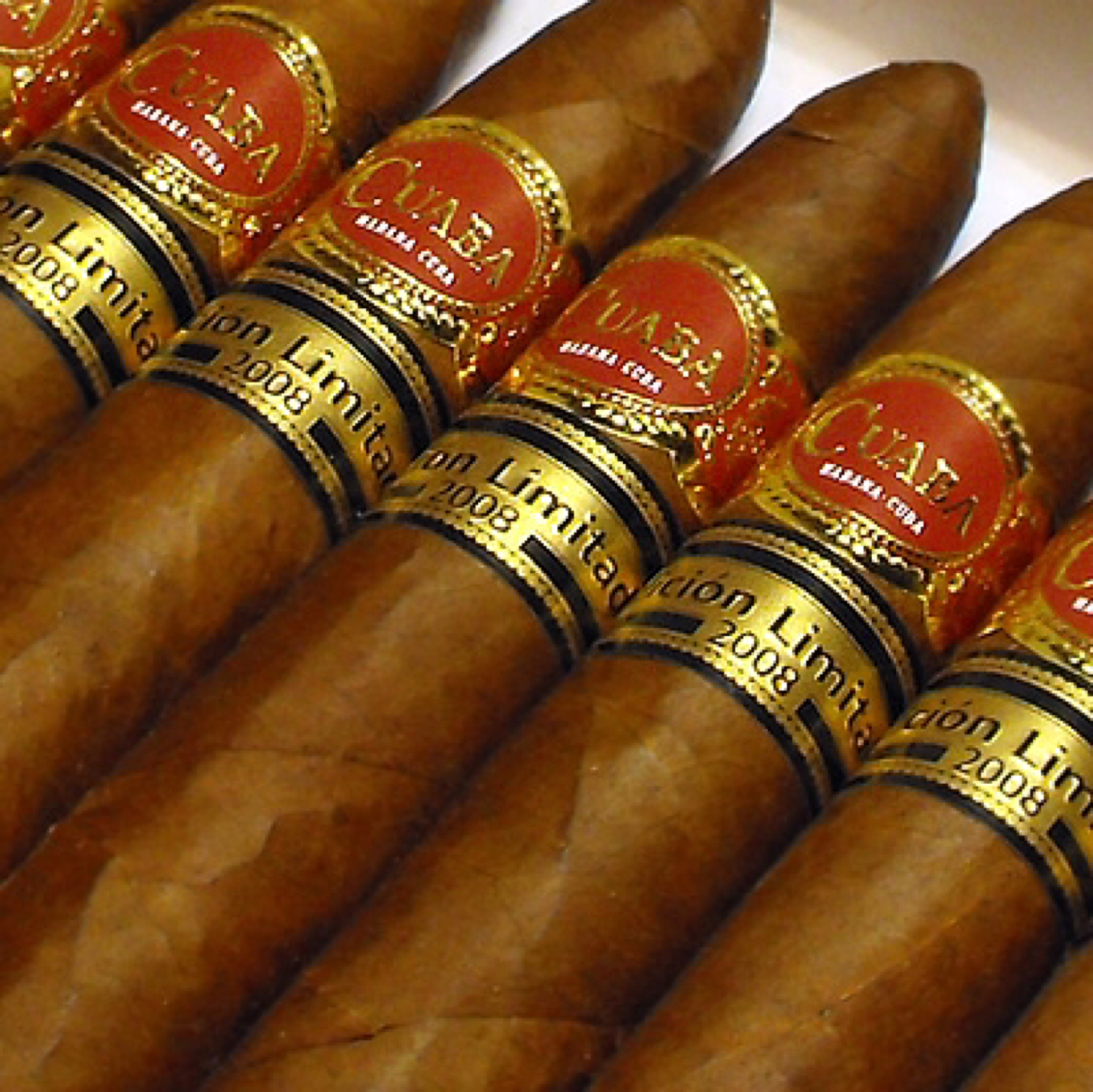 Piramides 2008 LE