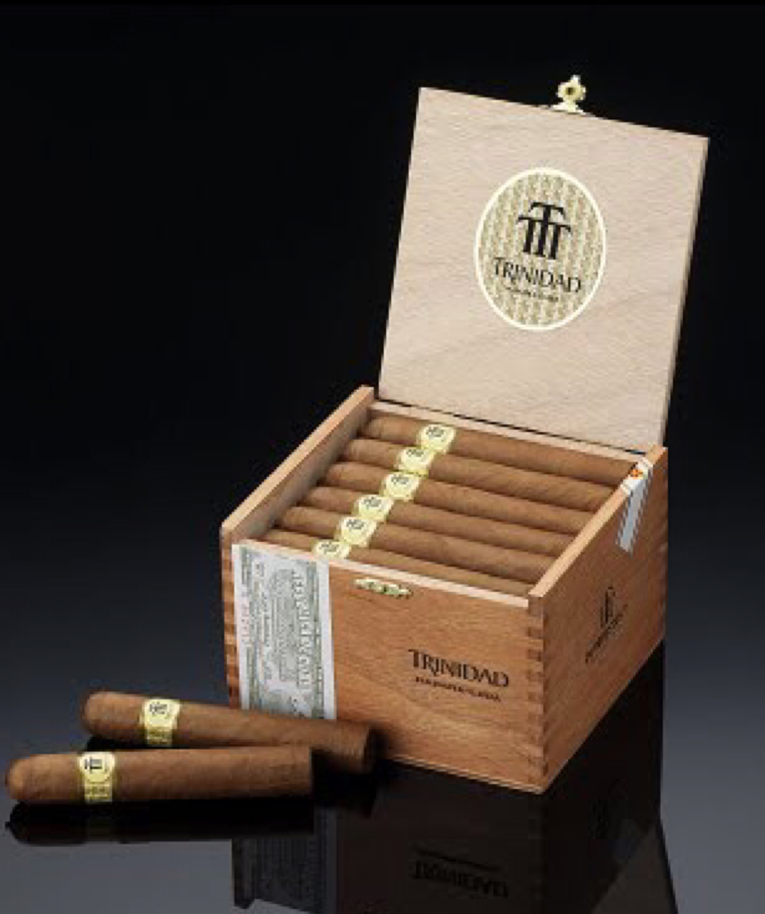Robusto T