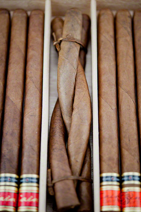 Cain Culebra