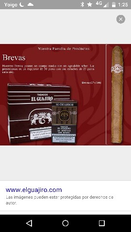 Brevas